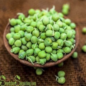 green pea seeds
